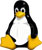 Novell z SUSE są po prostu sexy