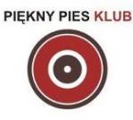 Instalacja w barze muzycznym "Pikny Pies" w Krakowie